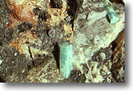 Beryl crystals